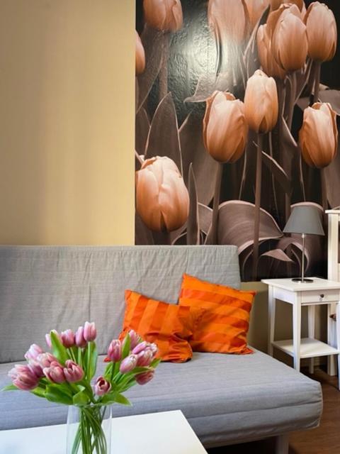 דצ'ין Apartman Galerie מראה חיצוני תמונה