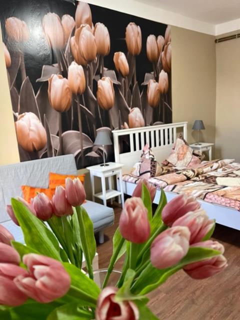 דצ'ין Apartman Galerie מראה חיצוני תמונה