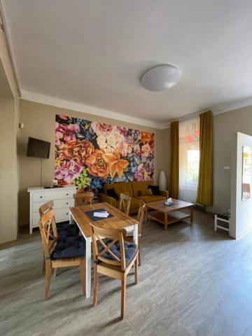 דצ'ין Apartman Galerie מראה חיצוני תמונה